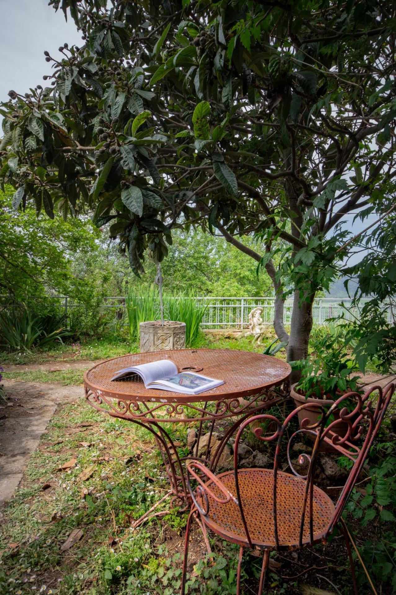 Villa Panoramica Garden Bike Massa Marittima Exteriör bild