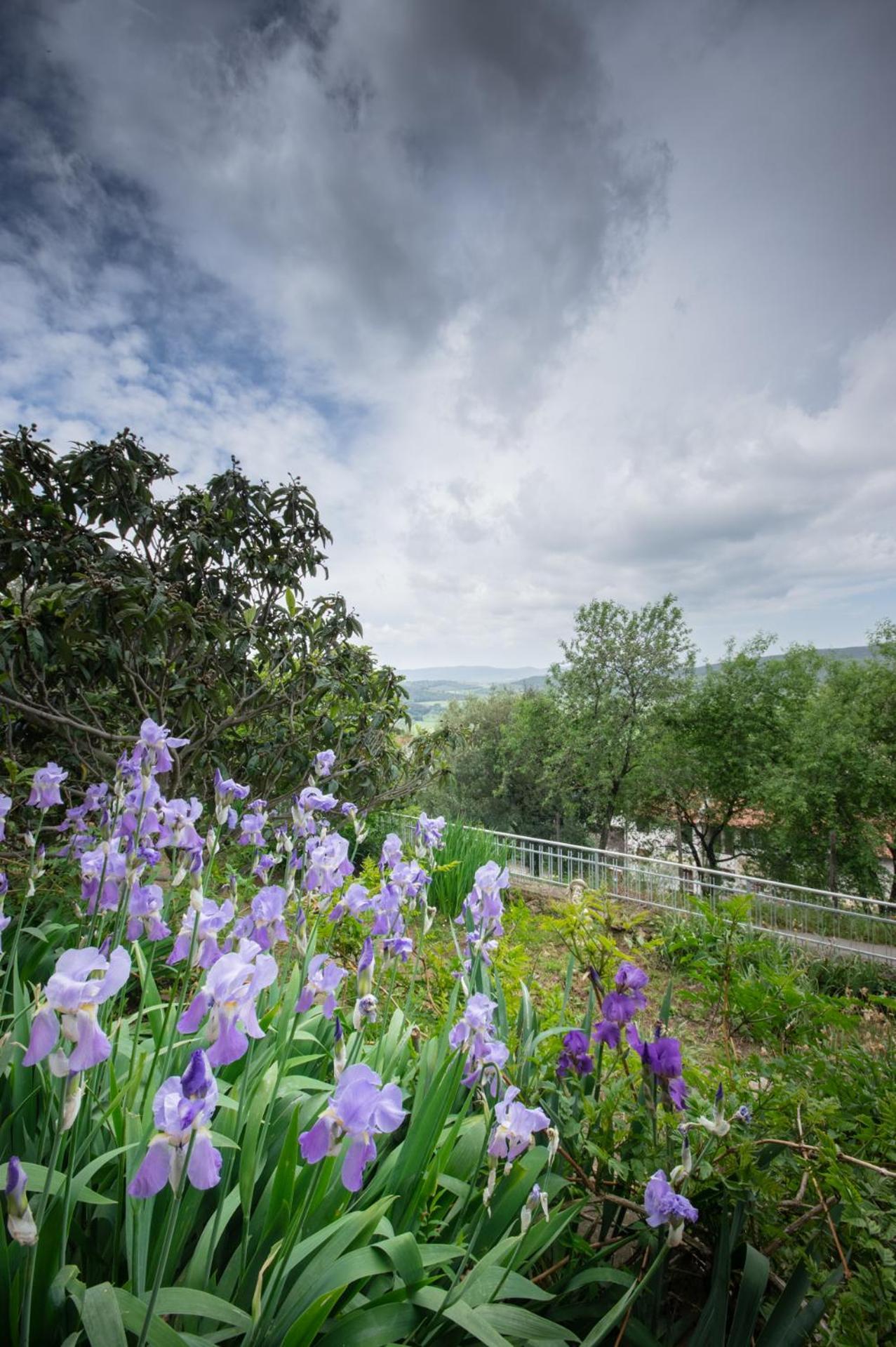 Villa Panoramica Garden Bike Massa Marittima Exteriör bild